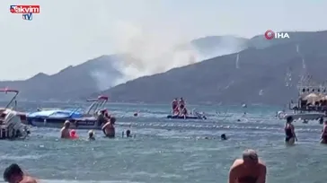 Yalova Armutlu'da orman yangını
