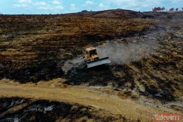 Yanan ormanlar ne olacak? Ağaçlandırma çalışması sonbaharda başlayacak - 17