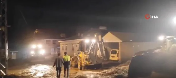 Sel onlarca hayvanı telef etti