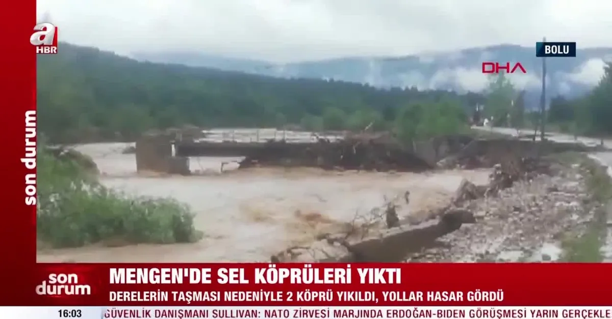 Bolu Mengen'de sel köprüleri yıktı