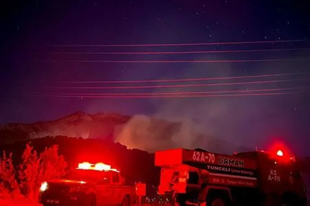 Tunceli'de Munzur Vadisi Milli Parkı sınırları içerisinde orman yangını çıktı!