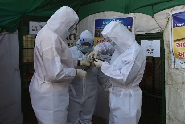 koronavirus-mutasyona-ugramis-koronavirus-derken-simdi-de-kus-gribi-japonyada-58-milyon-kumes-hayvani-itlaf-edildi-1610958291199.jpg Koronavirüs ve mutasyona uğramış koronavirüs derken şimdi de kuş gribi! Japonya'da 5.8 milyon kümes hayvanı itlaf edildi-9