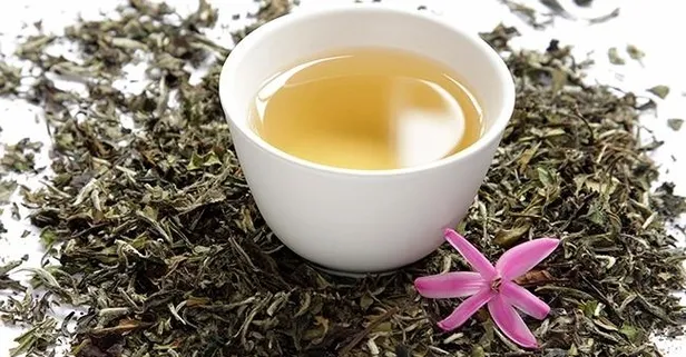 Beyaz çay kanserden koruyor