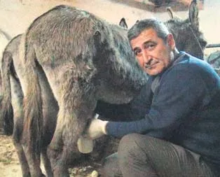 Eşek sütünün kilosunu 80 liradan satıyor