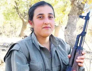 Öldürülen PKK’lı terörist eski HDP’li yönetici çıktı!