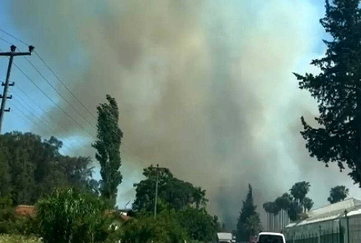 Antalya’da orman yangını!