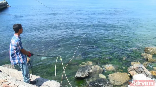 Maltepe Sahili'nde geçtiğimiz yıl batan geminin parçaları çıkartıldı - 4