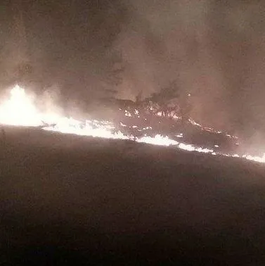 Muğla’da orman yangını!