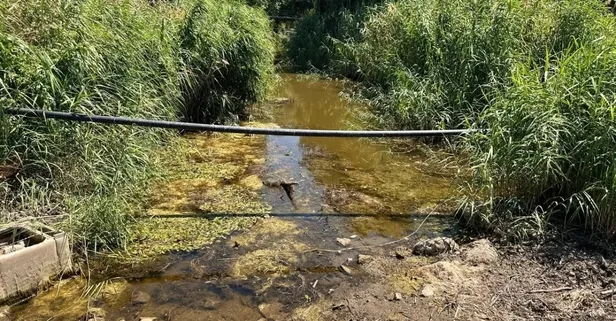 İstanbul'un yanı başındaki tehlike! Çakırca Deresi kurudu göl çekildi
