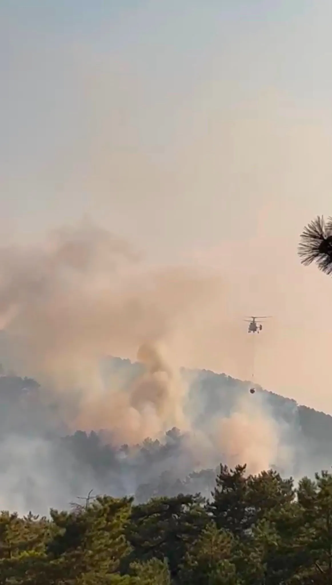 malatya-ve-boluda-orman-yangini-1786467124999.jpeg Malatya ve Bolu'da orman yangını alarmı! Pütürge ve Göynük'teki yangınlar kontrol altına alındı-4
