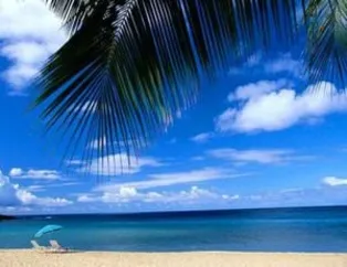 Bu kumsallar bir başka!