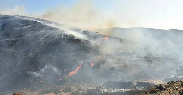 Tarım ve Orman Bakanlığından ’yangın’ açıklaması