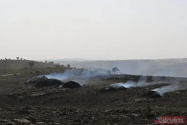 Anız yakma, yaktırma! Tarım ve Orman Bakanı İbrahim Yumaklı'dan çiftçiye 'yangın' uyarısı: Hasatta sigara içme, tarlada çay demleme - 3