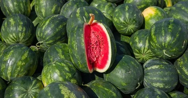 Sağlık deposu karpuz