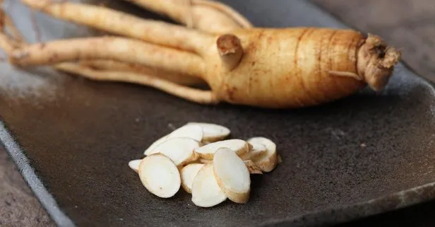 Dr. Ginseng