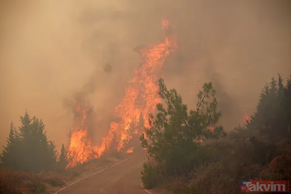 Yangından etkilenen vatandaşlar yaşadıkları dehşeti anlattı: Bir eşyam bile kalmadı! | Devletin ve milletin ellerine sağlık! - 16