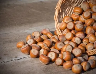 5 Nisan fındık fiyatları ne kadar oldu?