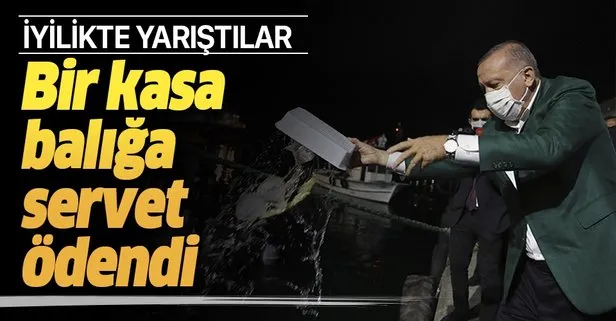 Başkan Erdoğan’ın başlattığı açık artırmada bir kasa balık 1.7 milyon TL’ye alıcı buldu