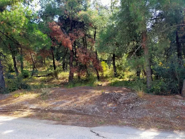 kendisine-tecavuz-etmeye-kalkisan-oglunu-olduren-anne-ve-babaya-haksiz-tahrik-indirimi-verildi-1623938936167.jpg Kendisine tecavüz etmeye kalkışan oğlunu öldüren anne ve babaya haksız tahrik indirimi verildi-2