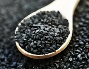 Tansiyona çörek otu