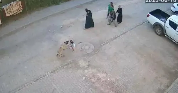 Sokakların güvenli olmasını isteyenler başıboş köpeklere çözüm bekliyor! Tehlike sadece saldırı değil: 2023'te 438 bine ulaştı | Kist hidatik nedir?-3