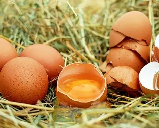 Otizme yumurta kırın