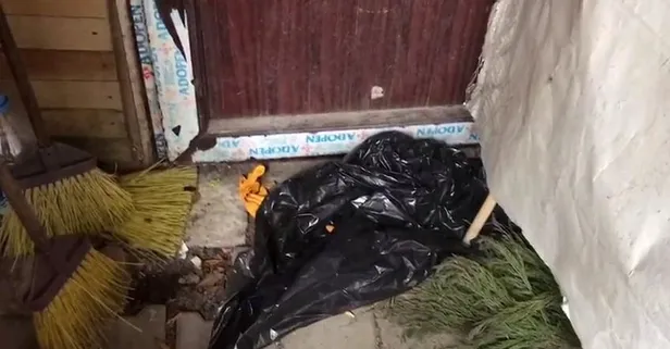 İstanbul'da kan donduran olay! Yeni doğan bebeği parka bıraktılar