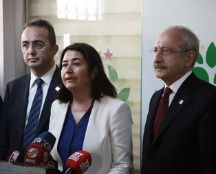 HDP’li isimden şehitler için alçak sözler
