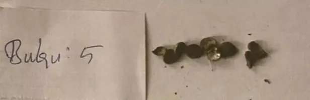 İstiklal Caddesi'ndeki kanlı saldırıyı düzenleyen terörist Albashır'ın sosyal medya hesabı deşifre oldu! 8 şüpheli daha gözaltına alındı-3