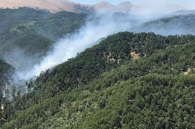 Son dakika: Isparta'da orman yangını! Anında müdahale edildi