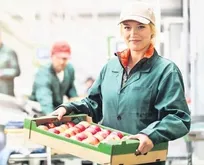 Asgari ücrette zam maratonu başlıyor! Hangi formüller masada?