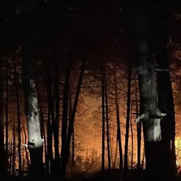 İstanbul Çekmeköy’de orman yangını