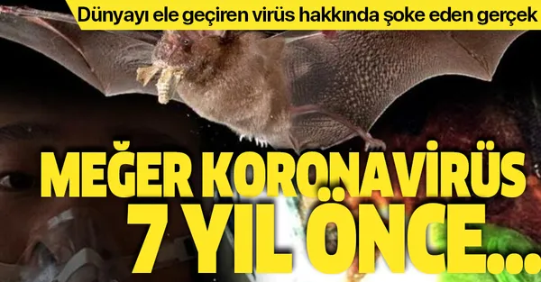 Bilim insanları ilk kez açıkladı! Meğer koronavirüs 7 yıl önce...-1