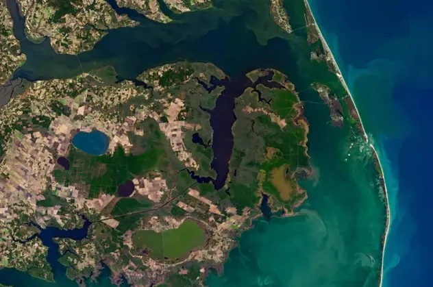 NASA hayalet ormanı uzaydan görüntüledi! Bilim insanları şaşkın