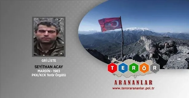 Gri listedeki hain öldürüldü