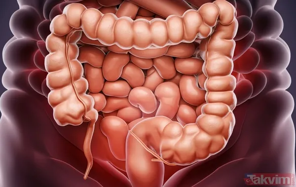 Neden Sabahları Özellikle Zerdeçal Ve Elma Sirkesi Tüketiyor? Zerdeçal, Vücuttaki Kronik İltihabı (Enflamasyon) Baskılayan En Güçlü Doğal Bileşenlerden Biridir...