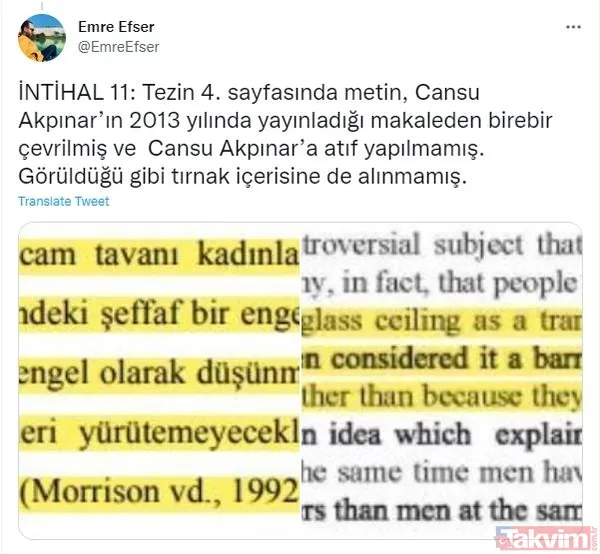 CHP'li İBB Başkanı Ekrem İmamoğlu'nun eşi Dilek İmamoğlu'nun tezinde sayfalarca intihal çıktı - 15