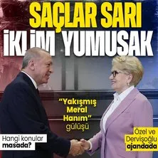 Son dakika: Külliye’de ’sürpriz’ zirve! Başkan Recep Tayyip Erdoğan, Meral Akşener’i kabul etti... Sarı saçlar ve yeni imaj dikkat çekti