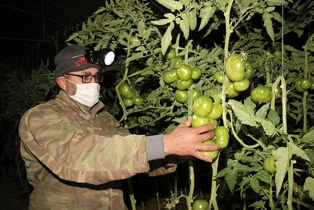 Mersin'de domates üreticilerinin "zirai don" nöbeti-2