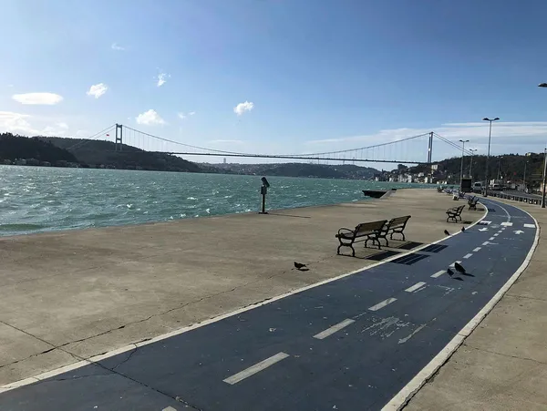 toplam-17-ilde-gorulmustu-mutasyonlu-virus-hangi-illerde-mutasyonlu-virus-nedir-1611993624344.jpg Toplam 17 ilde görülmüştü! Mutasyonlu virüs hangi illerde? Mutasyonlu virüs nedir?-2