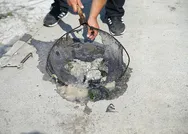 Marmara Denizi müsilaj işgalindeyken CHPli Tarık Balyalıdan skandal açıklama: Silahtarağa Arıtma Tesisi Projesi iyi ki iptal edilmiş