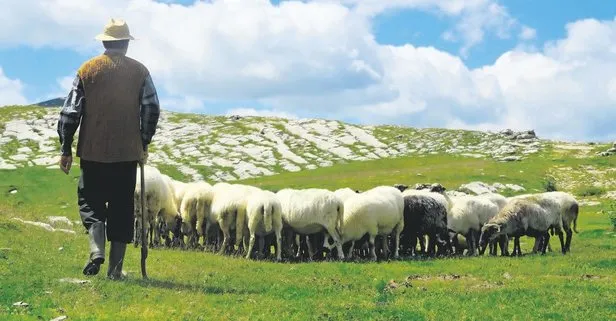 Aleyna Tilki, yine yaptı yapacağını... Arkadaş olmak için çoban arıyor!