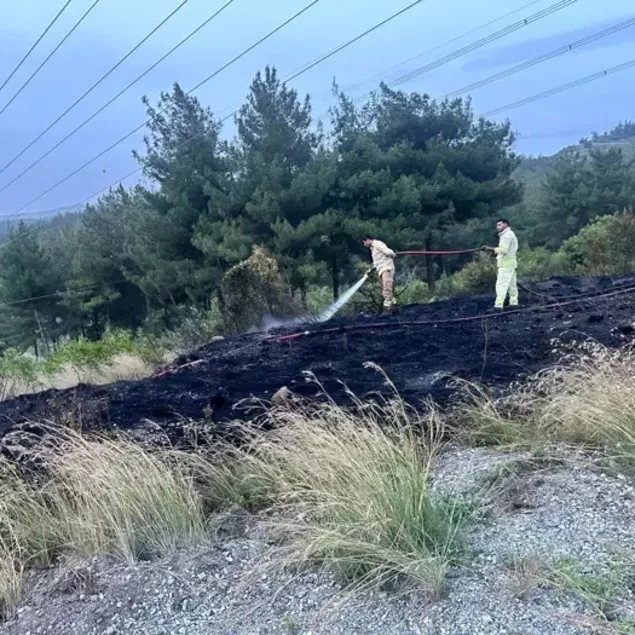 Hatay’da orman yangını!