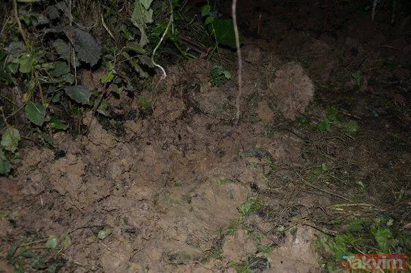 SON DAKİKA: Ordu'da kan donduran olay: Fındık bahçesine gömülü yeni doğmuş bebek cesedi bulundu! 2 kız kardeş gözaltında - 2