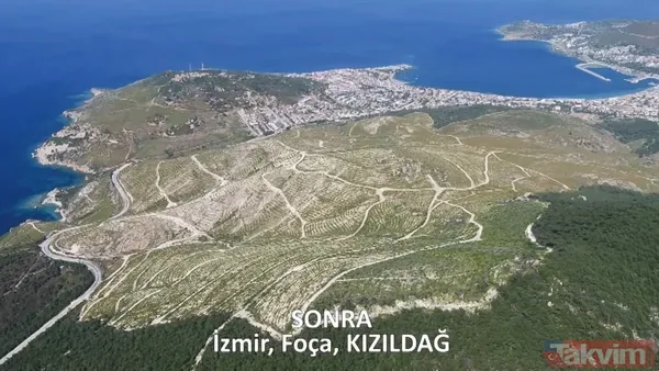 CHP ve yandaşı medyanın yangınlar üzerinden kirli algı oyunu çöktü: 'Otel yapacaklar' dedikleri alanlar tek tek yeşillendirildi - 20