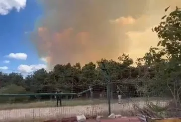 İstanbul Sultangazi’de orman yangını