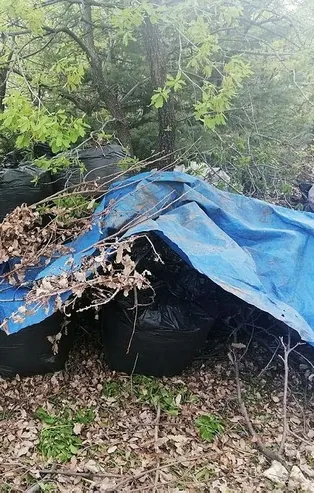 Son dakika: Diyarbakır'da zehir tacirlerine operasyon! 158 kilogram esrar ele geçirildi