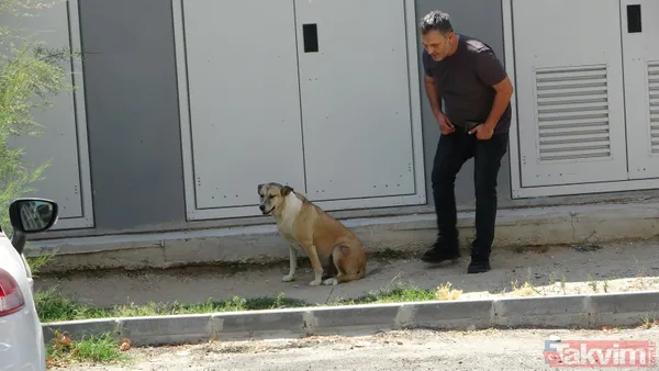 'Daire 16' sözleriyle gündem oldu! Köpük yerinde kalacak - 35