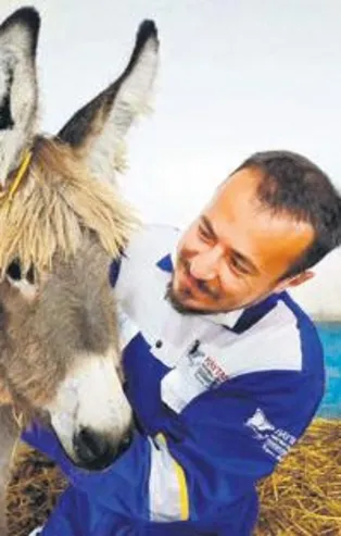 Köpeklerin saldırdığı eşek ve sıpası tedavi altına alındı