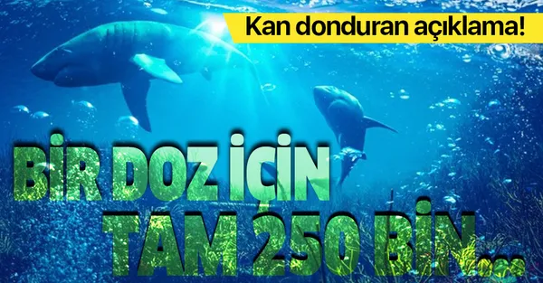 Koronavirüs aşısı ile ilgili kan donduran açıklama! Bir doz için 250 bin...-1